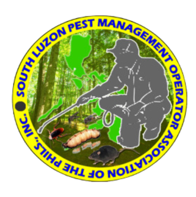 About image background white travel promotion instagram post